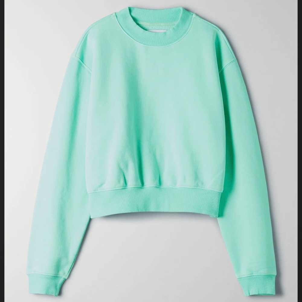 TNA ~ Aritzia: Cozy Fleece Perfect Shrunken Sweatshirt